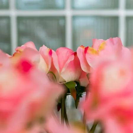 Eva Sunset View Teracce Apartment *