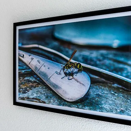 Eva Sunset View Teracce Daire Split