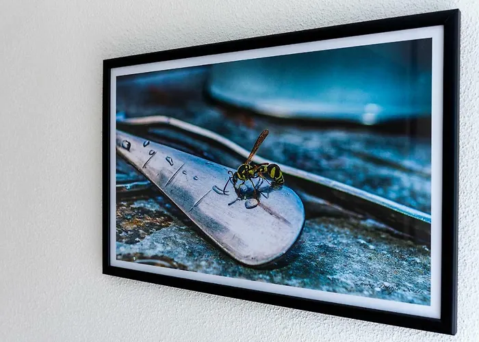 Eva Sunset View Teracce 公寓 斯普利特