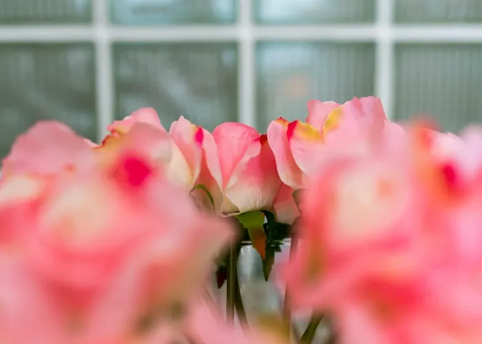 Eva Sunset View Teracce 公寓 *